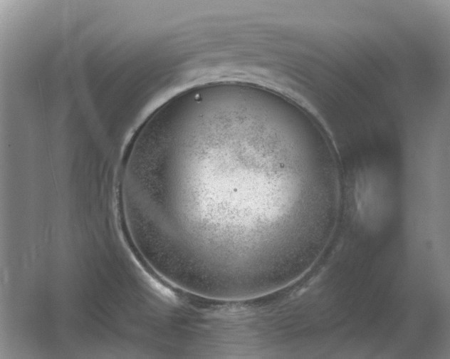 X0000062611525200512230905