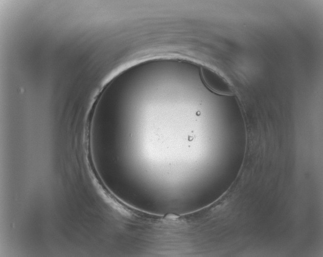 X0000062611526200512230906