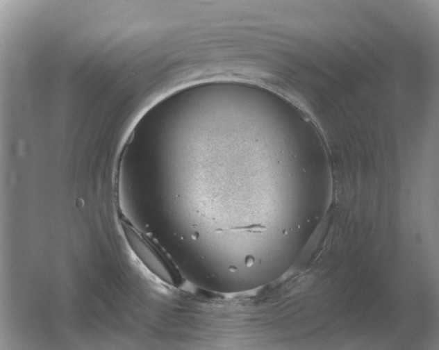 X0000062611532200512230906