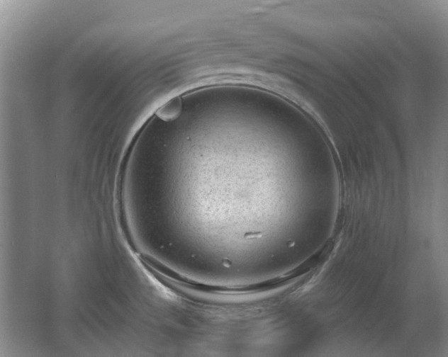 X0000062611533200512230906