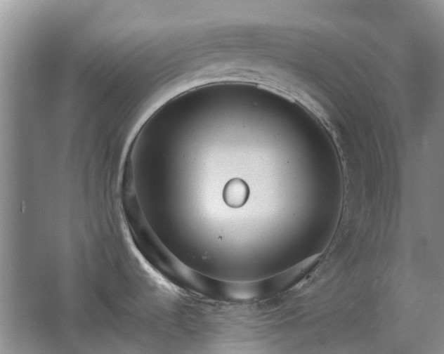 X0000062611536200512230906