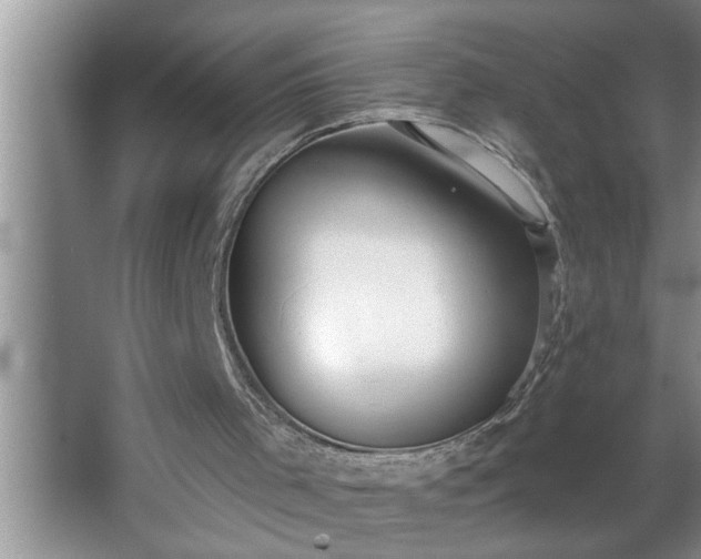 X0000062610001200512281515