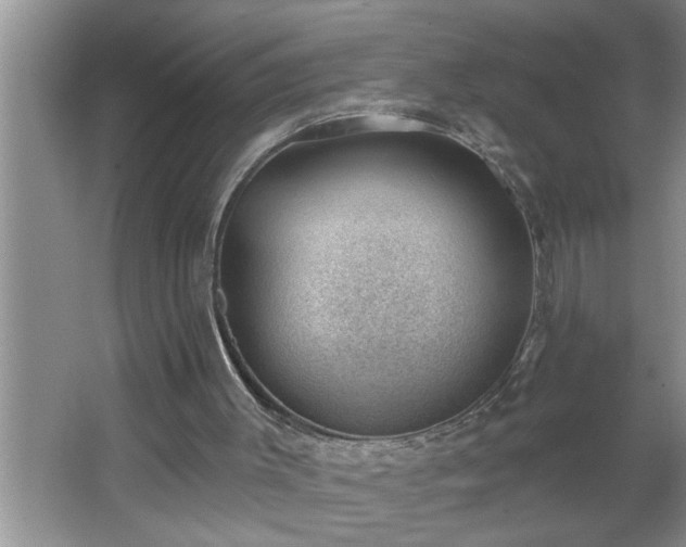 X0000062610003200512281515