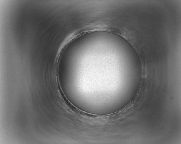 X0000062610004200512281515