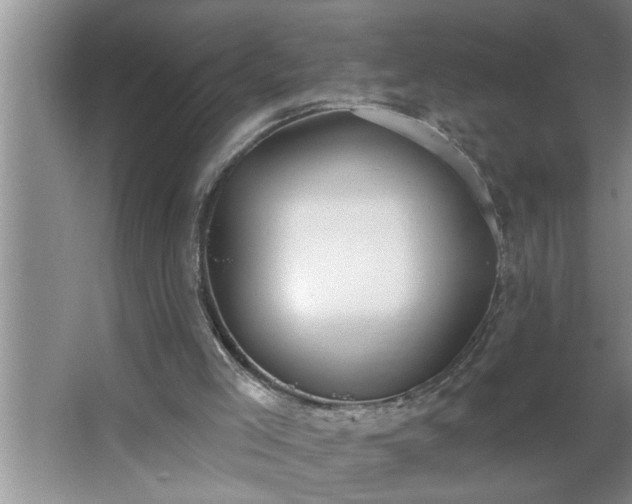 X0000062610005200512281515