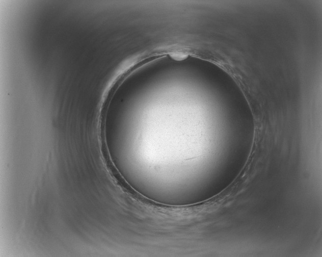 X0000062610006200512281515