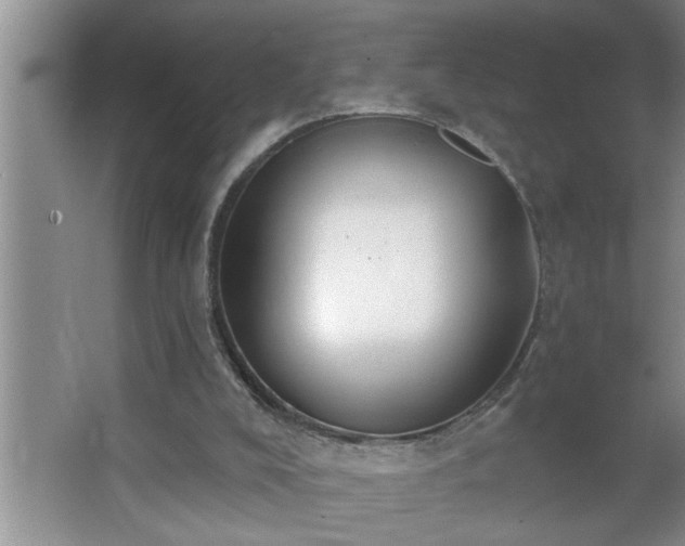 X0000062610008200512281515