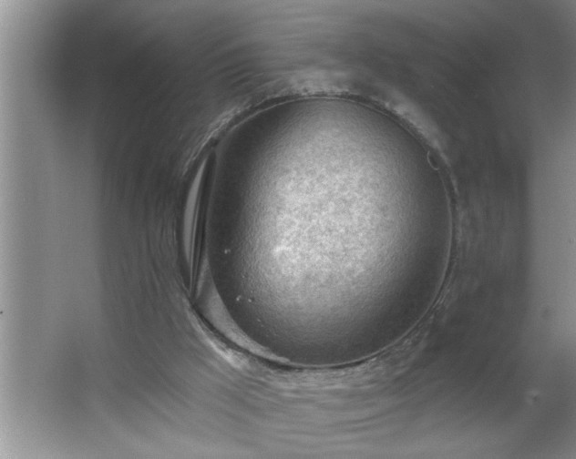 X0000062610009200512281515