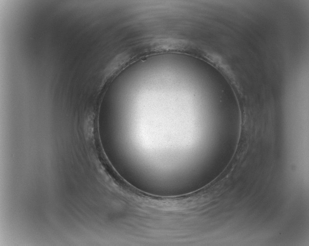 X0000062610010200512281515