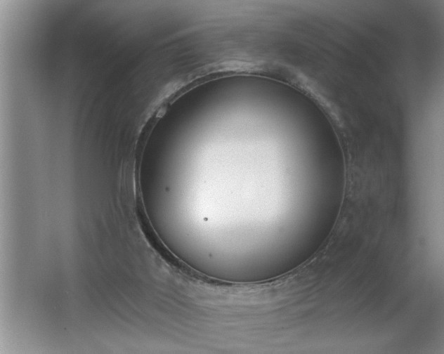 X0000062610011200512281515