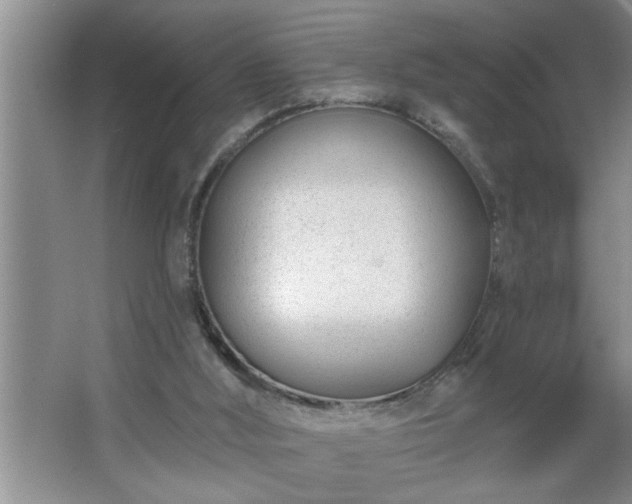 X0000062610012200512281515