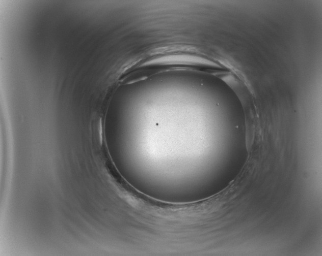 X0000062610013200512281515