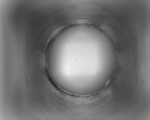 X0000062610016200512281515