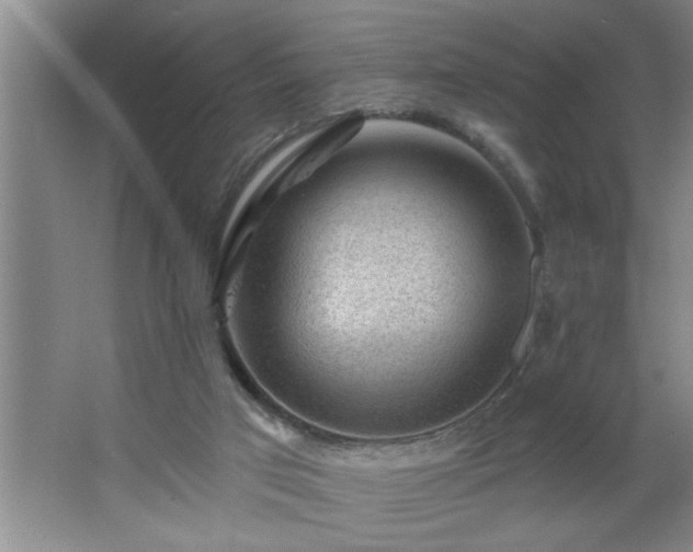 X0000062610017200512281515