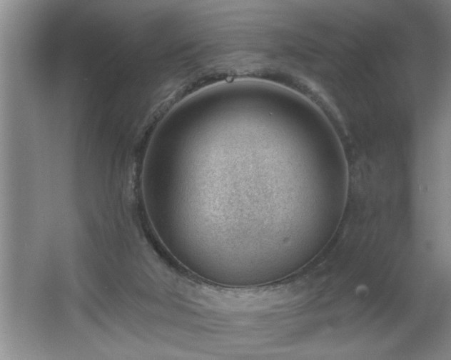 X0000062610018200512281515