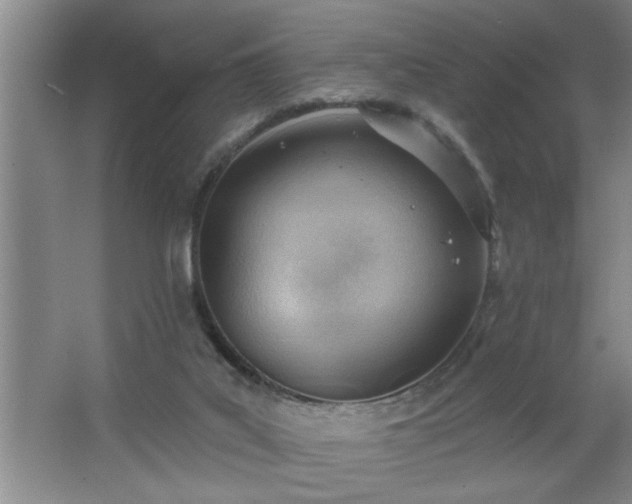 X0000062610019200512281515