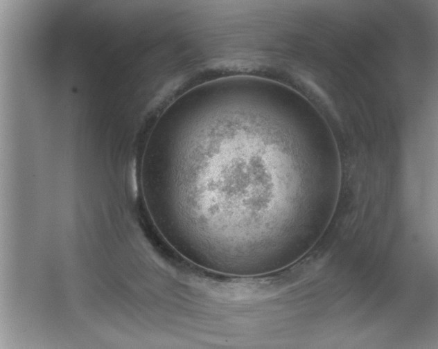 X0000062610020200512281515