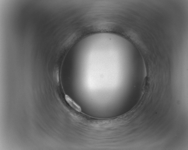 X0000062610021200512281515