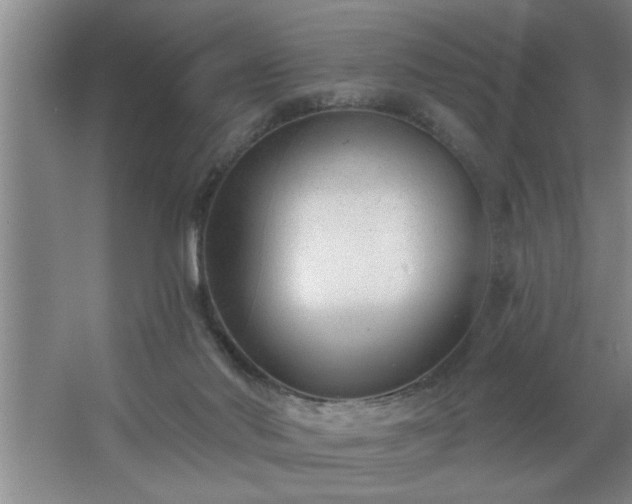 X0000062610022200512281515