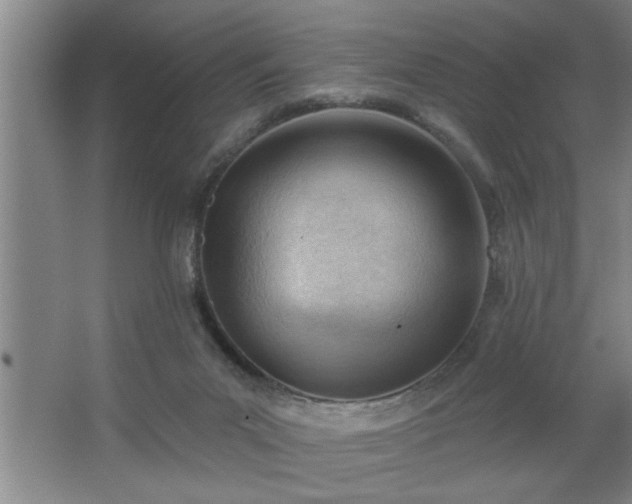 X0000062610023200512281515