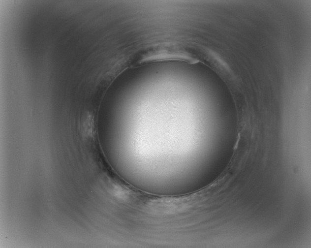 X0000062610025200512281515