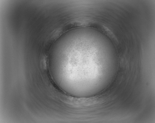 X0000062610026200512281515