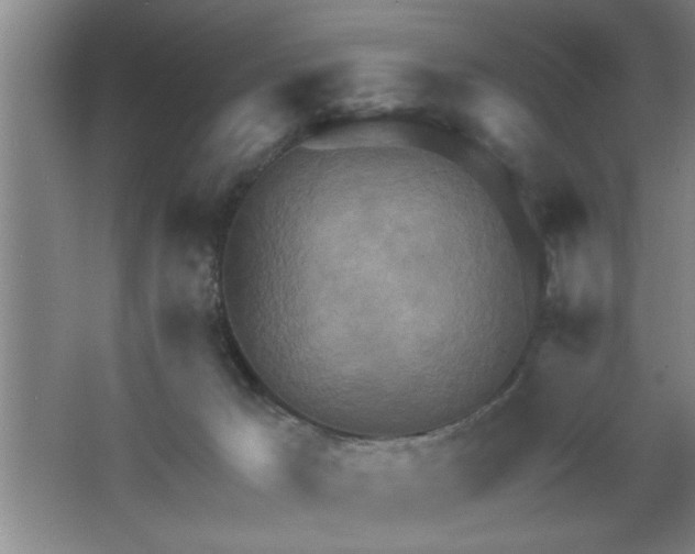 X0000062610029200512281515