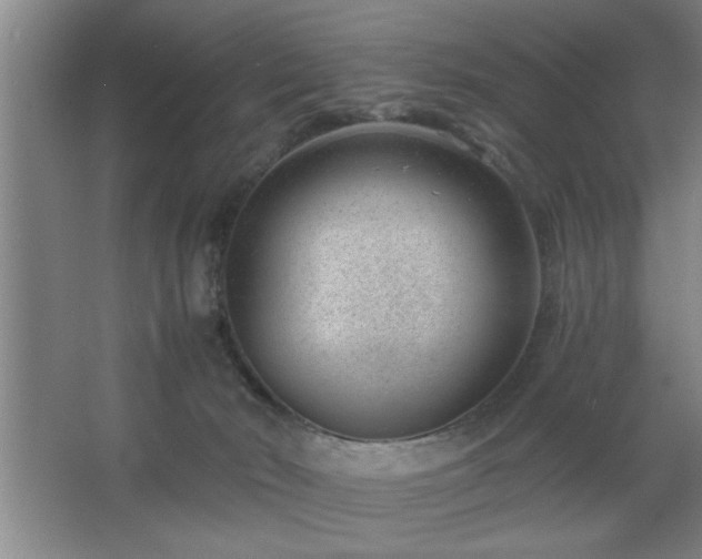 X0000062610030200512281515