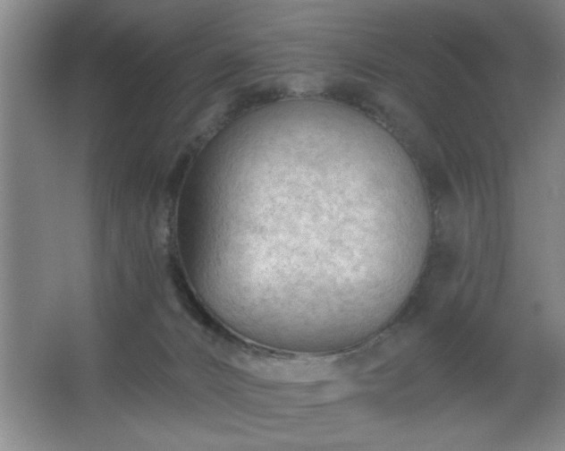 X0000062610032200512281515