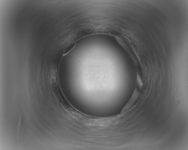 X0000062610033200512281515