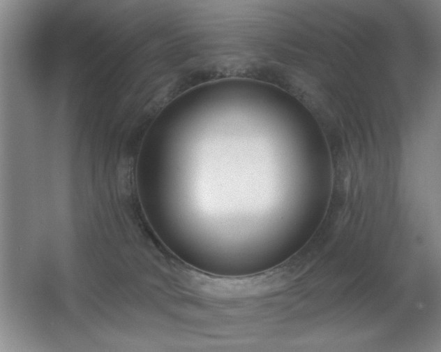 X0000062610034200512281515