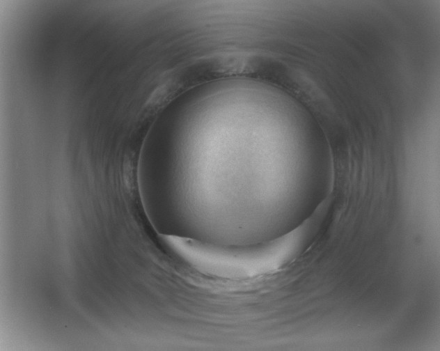 X0000062610035200512281515