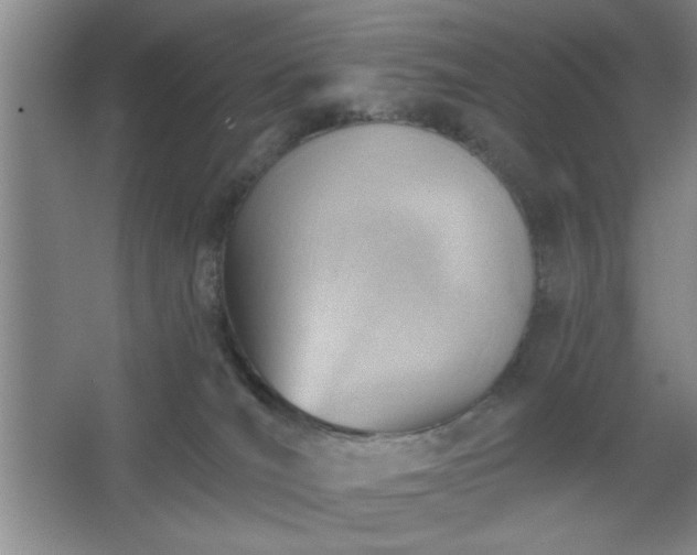 X0000062610036200512281515