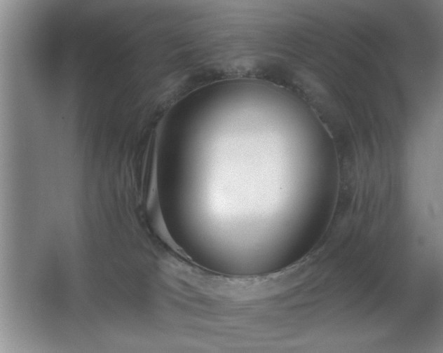 X0000062610037200512281515