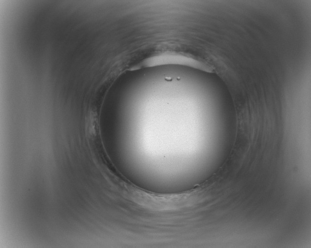 X0000062610038200512281515