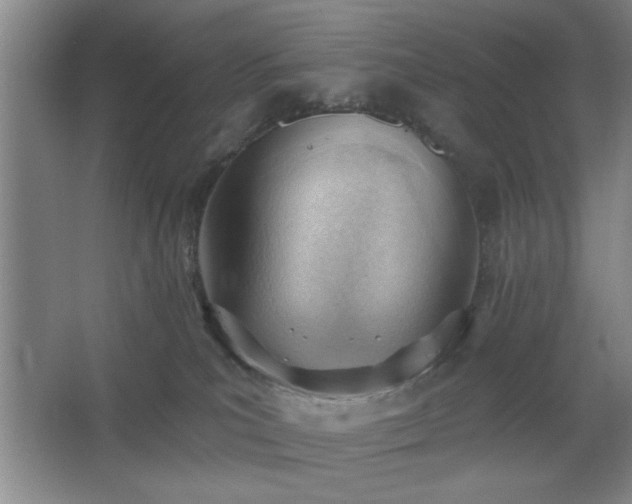 X0000062610039200512281515