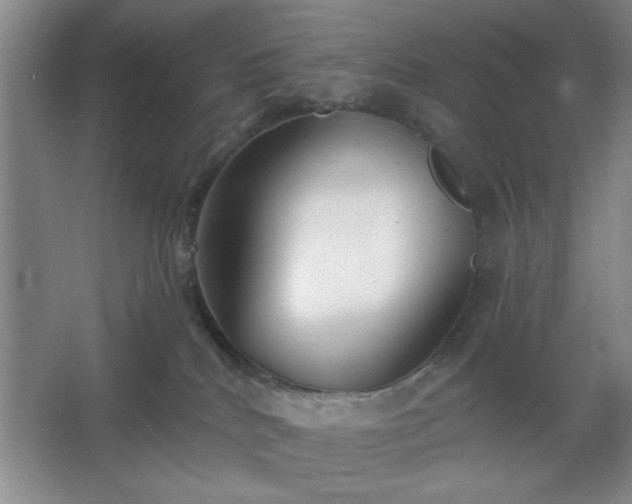 X0000062610040200512281515