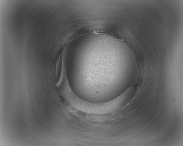 X0000062610041200512281515