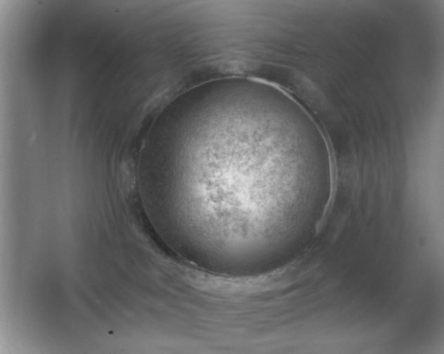 X0000062610043200512281515