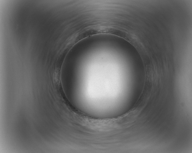 X0000062610044200512281515