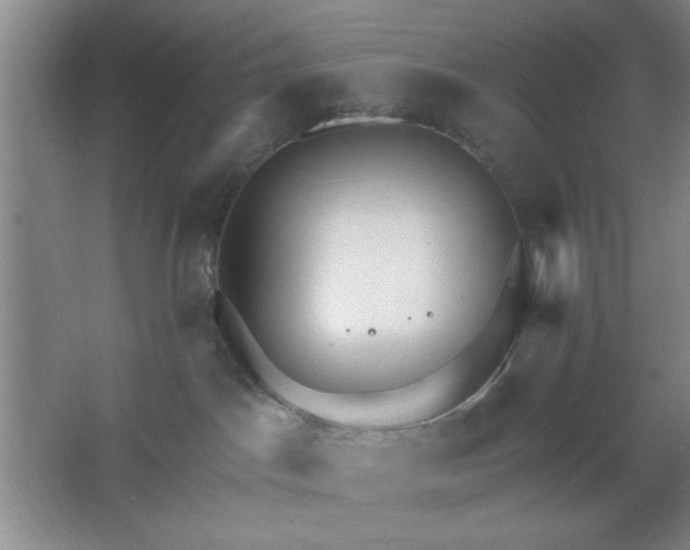 X0000062610045200512281515