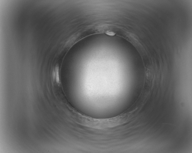 X0000062610046200512281515