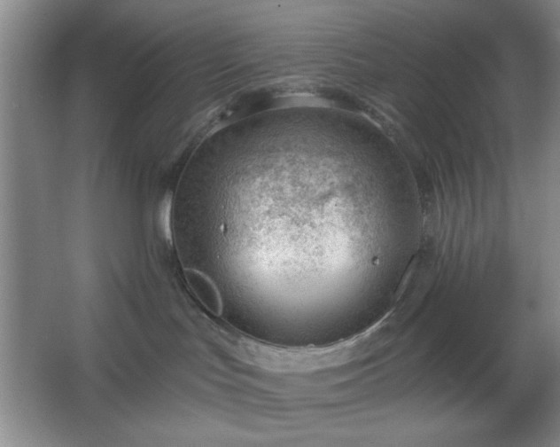 X0000062610047200512281515