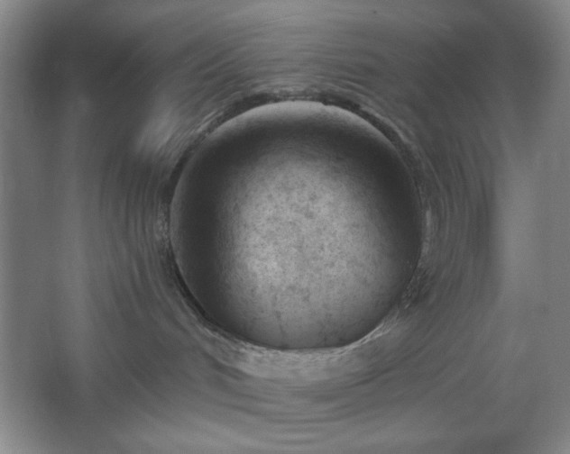 X0000062610048200512281515