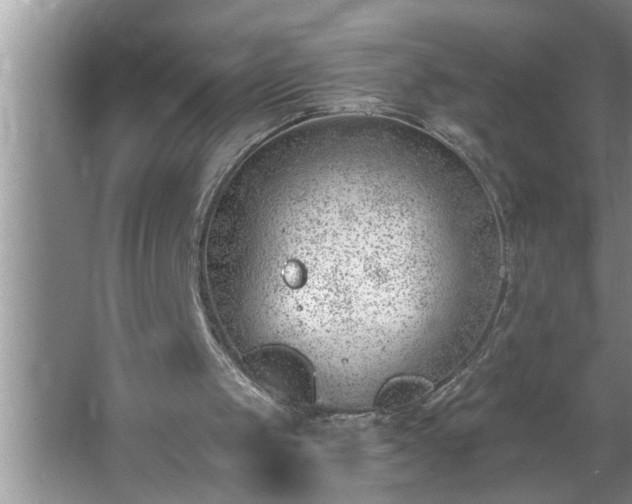 X0000062610049200512281514