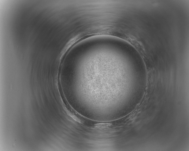 X0000062610051200512281514