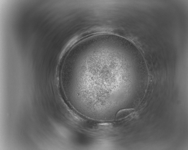 X0000062610053200512281514