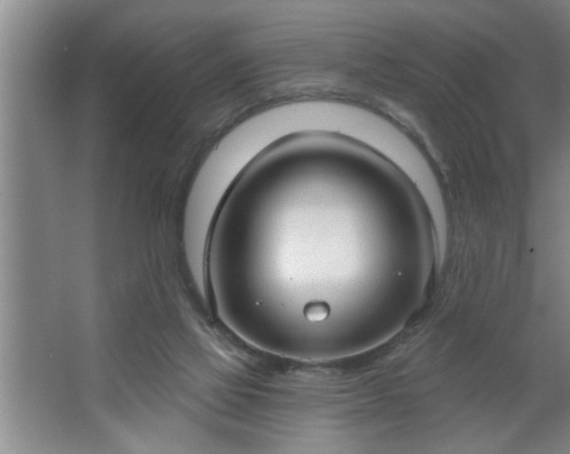 X0000062610069200512281514