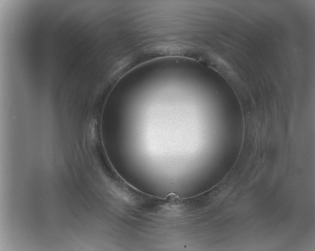 X0000062610071200512281514