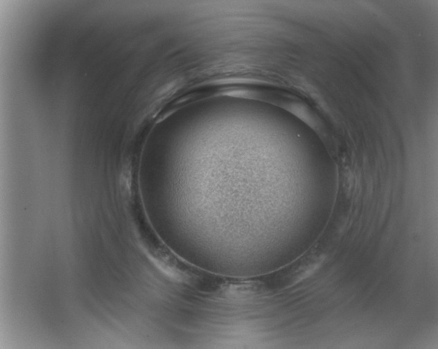 X0000062610072200512281514